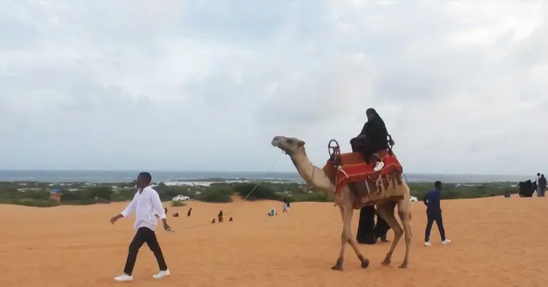 পর্যটন শিল্পে ঘুরে দাঁড়ানোর চেষ্টা সোমালিয়ার